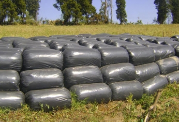 “Cada ganadero con máximo 50 cabezas de ganado recibirá una tonelada de silo de maíz gratis”, Juan Carlos Romero. Foto: ventasilodemaiz.blogspot.com Suplemento alimenticio para ganaderos del norte de Colombia, silo de maíz, gestión de dirigentes gremiales ante el Ministerio de Agricultura, ganaderos recibirán silo de maíz, CONtxto Ganadero, noticias de ganadería colombiana.