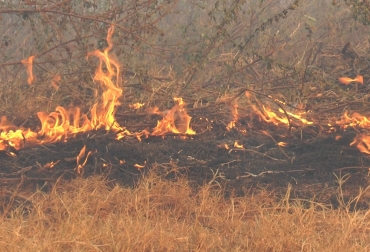 Las conflagraciones están afectando seriamente al departamento. Hay incendios activos en La Jagua de Ibirico, Curumaní, El Paso, El Copey, Aguachica y Valledupar. Foto: Corpocesar. Incendios Forestales, incendios forestales en Colombia, Corpocesar, incendios forestales en cesar, kaleb villalobos, clima, variabilidad climática, noticias ganaderas, noticias ganaderas colombia, CONtexto ganadero