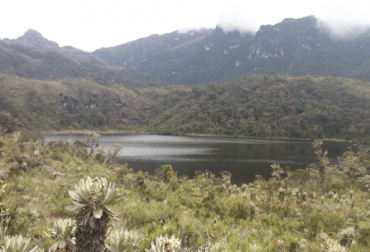 Los páramos son esenciales para el medio ambiente y mitigar el calentamiento global. Foto: Región Central - Rape. región central, región central rape, RAPE, departamentos de la rape, proyecto páramos, proyecto páramos rape, cuidado de los páramos, protección de los páramos, noticias páramos, noticias ganadería, ganadería colombia, noticias ganaderas colombia, contexto ganadero