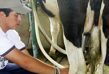 Algunas empresas han impuesto topes al acopio, una práctica común pero que lesiona gravemente al ganadero. Foto: periodico.sena.edu.co. Acopio leche Boyacá 2018, ganaderos Boyacá 2018, Precio leche Boyacá febrero 2018, precio leche Motavita Boyacá febrero 2018, precio leche Colombia febrero 2018, lecheros de boyacá, ganaderos de Boyacá, crisis del sector lácteo, crisis de lecheros en Colombia, importaciones de leche, CONtexto ganadero, ganaderos colombia, noticias ganaderas colombia