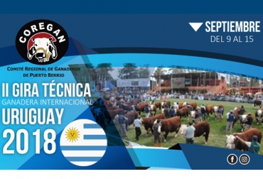 Esta es la fecha en la cual se realizará la segunda gira técnica internacional del gremio de Puerto Berrío. Foto: Coregán Coregán 2018, gira internacional Coregan 2018, eventos ganaderos, gira Coregan Uruguay 2018, Ecosistemas vs Estacionalidad, Coregan Puerto Berrio Antioquia 2018, Puerto Berrio 2018, ganaderos Coregan 2018, giras ganaderas Colombia, Comité Regional de Ganaderos de Puerto Berrio, CONtexto ganadero, ganaderos colombia, noticias ganaderas colombia
