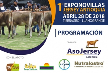 Este es uno de los eventos organizados por Asojersey para divulgar y promocionar la raza en el país durante el 2018. Foto: Asojersey 1er Exponovillas Jersey Antioquia 2018, 1er Exponovillas Jersey Antioquia, Exponovillas Asojersey 2018, Exponovillas Jersey Asojersey febrero 2018, bondades raza Jersey, Asojersey 2018, proyectos Asojersey, actividades Asojersey 2018, junta directiva Asojersey, Fedegán Asojersey 2018, CONtexto ganadero, ganaderos colombia, noticias ganaderas colombia