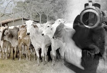 “En Valledupar el 45,5 % de las reses de consumo al día provienen de mataderos clandestinos cerrados por el Invima y del robo y/o carneo”, dijeron 50 ganaderos. Foto: elpaisvallenato.com Gestión contra el abigeato, ganaderos del Cesar, re direccionar acciones, grupo especializado, reforzar Sijin, control de expendios, resultados de investigaciones, CONtexto Ganadero, noticias de ganadería colombiana.