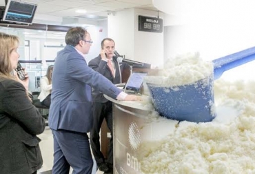 La tonelada de leche en polvo se ha negociado en subasta en promedio a $9 millones. Foto: alghad.com - Revista Agrollanos Subasta aprovechada por la industria, adquisición de excedentes, excedentes baratos, pago compensaciones, precio internacional, CONtexto Ganadero, noticias de ganadería colombiana.