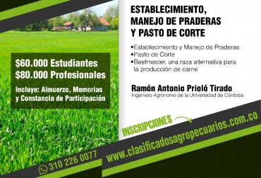 Estos son los costos de la capacitación organizada por Clasificados Agropecuarios y Hacienda Las Perlas. Foto: Clasificados Agropecuarios Establecimiento de praderas, manejo de praderas, pastos de corte, raza beefmaster, conferencia Clasificados agropecuarios Montería junio 2018, Clasificados Agropecuarios, Conferencia alimentación animales granja, alimentación del ganado, suplementación del ganado, manejo de potreros, hacienda Las Perlas, CONtexto ganadero, ganaderos Colombia, noticias ganaderas Colombia