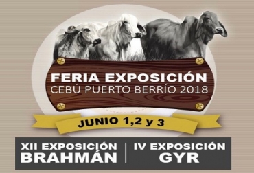 “Juzgamiento de ganado Brahman gris y rojo y también de Gyr, se presenciará en Expocebú”, dijo Victoria Rondón. Foto: Sugaberrio. Expocebú, ganado Brahman, ganado Gyr, alta genética, juzgamiento, concurso lechero, remate de estrellas, Sugaberrio, Coregan, CONtexto Ganadero, noticias de ganadería colombiana.