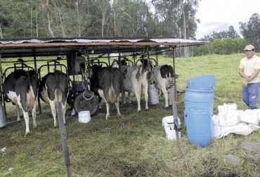 “El promedio de disminución del precio ha sido de $100 por litro”, dijo Víctor Manuel Fajardo. Foto: Boyaca Radio Precio en cuencas no mejora, precio pagado al productor desmejora, aumento de transporte, intermediarios e industria, industria elimina bonificaciones, inconformismo, productores afectados, cuenca del Valle de Ubaté, Altiplano Cundiboyacense, CONtexto Ganadero, noticias de ganadería colombiana.