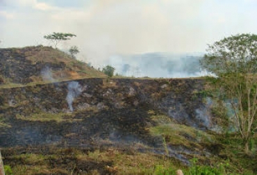 “La unidad inicial del carbono orgánico antes de la quema fue de 1.794 unidades, y luego de seis meses, de 1.525”, dijo Federico Sánchez Ojeda. Foto: ecologiasocebu.blogspot.com.co Quemas destruyen carbono del suelo, muestras en Orinoquia, Reserva Serranías de Casablanca (Vichada), reducción de carbono, nutrientes del suelo, CONtexto Ganadero, noticias de ganadería colombiana