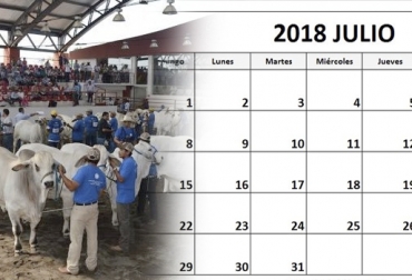 Aunque este mes es escaso en eventos, en julio se realizará un encuentro de ganadería regenerativa en Ecuador. Foto: twitter.com - Pinterest. Eventos ganaderos julio 2018, cursos ganaderos, eventos ganaderos de 2018, ferias ganaderas de 2018, 3ra feria agroindustrial Eje cafetero, 2018, Ferias ganaderas Colombia julio 2018, ferias ganaderas Colombia 2018, ferias ganaderas julio 2018, ferias, Ferias Ganaderas, ferias Colombia, Eventos ganaderos, eventos ganaderos colombia, feria ganadera julio 2018, CONtexto ganadero, ganaderos colombia, ganadería colombia, noticias ganaderas colombia