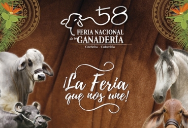 En la versión número 58 de la Feria Nacional de la Ganadería se contará con la presencia de más de 1.300 animales entre bovinos y equinos. Foto: LA PRENSA WEB Feria Ganadera De Montería, 58 Feria Ganadera de Montería, exposición de ganado, exposición de ganado en Montería, juzgamiento de ganado en Montería, remate de ganado en Montería, ganaderos de Montería, Ganaderos de Córdoba, Reinado de la Ganadería, sector ganadero de Córdoba, CONtexto ganadero, ganaderos colombia, noticias ganaderas colombia