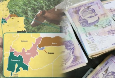 “La cifra aproximada permite visualizar el impacto económico que la zona ha ocasionado en los 4 departamentos”, dijo Oscar Cubillos. Foto: contextoganadero.com - El País Cali Engormix Zona de contención sanitaria, impacto económico, restricciones de negociación, cierre de ferias, limitaciones comercialización, Arauca, Casanare, Boyacá y Cundinamarca, Contexto Ganadero, noticias de ganadería colombiana.