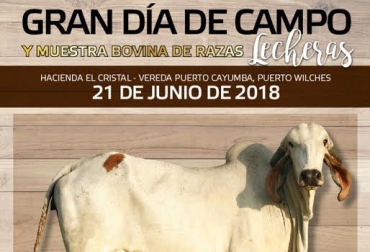 “La Raza Gyr, ideal para la producción de leche en el trópico bajo, será una de las charlas magistrales”, dijo José Franco Galán. Foto: Cortesía. Hacienda El Cristal, día de campo, producción de Gyr y Girolando, razas lecheras, muestra lechera, trasferencia de conocimiento, manejo de malezas, etología, formad de comercializar ganado, CONtexto Ganadero, noticias de ganadería colombiana.