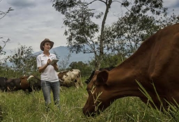 “Los ganaderos deben manejar su negocio basados en la información”, dijo Juan Carlos Romero. Foto: Cultura Empresarial Ganadera Internacional Basarse en la información, actividad ganadera, registros, soportes, desbalance, manejo de inventarios, abigeato, CONtexto Ganadero, noticias de ganadería colombiana.