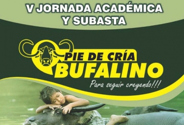 Esta sería la quinta jornada organizada por el zootecnista y juez bufalino Omar Ruiz, que comenzó en 2012 con este tipo de eventos. Foto: Subasta Mercagan Ganadería Bufalina en Colombia, Jornada Académica Pie de Cría Bufalino, búfalos en Colombia, Razas de búfalos en Colombia, Historia de los búfalos en Colombia, raza buffalypso en Colombia, raza Murrah en Colombia, raza Mediterránea en Colombia, alta producción lechera de búfalos, producción búfalos Colombia, carne búfalo, CONtexto ganadero, ganaderos colombia, noticias ganaderas Colombia
