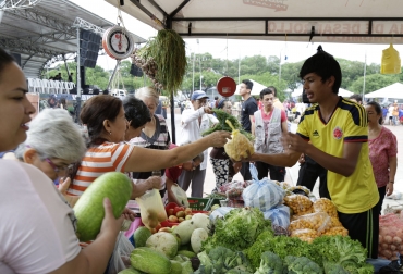 Estas actividades siguen consolidándose en Cúcuta. Foto: Gobernación de Norte de Santander. Ganadería, ganadería colombia, noticias ganaderas, noticias ganaderas colombia, CONtexto ganadero, Mercados campesinos, Gobernación de Norte de Santander, William Villamizar Laguado, secretaría de Desarrollo Económico de Norte de Santander, gobernador de Norte de Santander, mercados campesinos norte de santander, mercado campesino cúcuta