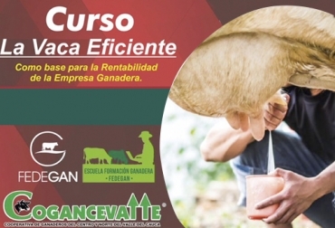 Fedegán implementó el curso en Bogotá con éxito, y por eso quiere replicarlo en otras zonas del país. Foto: Fedegán Escuela de Formación Ganadera de Fedegán, Cursos cortos de Fedegán, curso para ganaderos en Valle del Cauca, Cooperativa de Ganaderos del Centro y Norte del Valle, Cogancevalle, Fedegán Cogancevalle, capacitación ganadería, cursos para ganaderos, CONtexto ganadero, ganaderos colombia, noticias ganaderas colombia