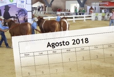 El octavo mes del año traerá importante ferias ganaderas regionales y el evento Expo Agrofuturo. Foto: Monthly Calendar 2018 / CONtexto ganadero Eventos ganaderos agosto 2018, cursos ganaderos, eventos ganaderos de 2018, ferias ganaderas de 2018, Ferias ganaderas Colombia agosto 2018, ferias ganaderas Colombia 2018, ferias ganaderas agosto 2018, ferias, Ferias Ganaderas, ferias Colombia, Eventos ganaderos, eventos ganaderos colombia, feria ganadera agosto 2018, CONtexto ganadero, ganaderos colombia, ganadería colombia, noticias ganaderas colombia