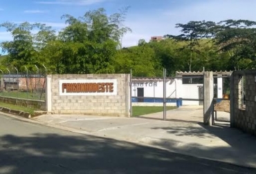 “Frigonordeste atenderá el sacrificio de porcinos y bovinos en el nordeste antioqueño”, dijo Diego Martínez. Foto: Subavan. Frigorífico del Nordeste antioqueño, abre nuevamente, reestructuración y frío, alianza estratégica con Subavan, sacrificio de bovinos y porcinos, normas sanitarias y de inocuidad, CONtexto Ganadero, noticias de ganadería colombiana.