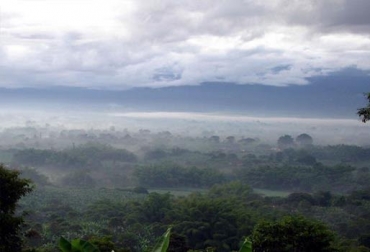 “Hay fincas que tienen restricción en su oferta de pastos porque las heladas las quemaron”, dijo Víctor Manuel Fajardo. Foto: Colombia.com Heladas afectan el Altiplano Cundiboyacense, ganaderos preocupados, no tienen comida para el ganado, escasez de alimento, pastos sin poder nutritivo, pastos quemados, solicitan suplementos alimenticios, valle de Ubaté, afectado en algunas partes, Contexto Ganadero, noticias de ganadería colombiana.