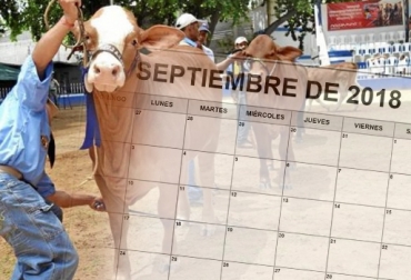 Los departamentos de Huila y Santander han preparado los eventos más importantes en septiembre del sector ganadero. Foto: La Veterana 103.5 Fm - BeachFix Eventos ganaderos septiembre 2018, cursos ganaderos, eventos ganaderos de 2018, ferias ganaderas de 2018, Ferias ganaderas Colombia septiembre 2018, ferias ganaderas Colombia 2018, ferias ganaderas septiembre 2018, ferias, Ferias Ganaderas, ferias Colombia, Eventos ganaderos, eventos ganaderos colombia, feria ganadera septiembre 2018, CONtexto ganadero, ganaderos colombia, ganadería colombia, noticias ganaderas colombia