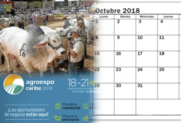 La mayoría de eventos se han preparado para el puente festivo del Día de la Raza, del 12 al 15 de octubre. Foto: LARAZON.CO - juve.cenitdelacabrera.co Eventos ganaderos octubre 2018, cursos ganaderos, eventos ganaderos de 2018, ferias ganaderas de 2018, Ferias ganaderas Colombia octubre 2018, ferias ganaderas Colombia 2018, ferias ganaderas octubre 2018, ferias, Ferias Ganaderas, ferias Colombia, Eventos ganaderos, eventos ganaderos colombia, feria ganadera octubre 2018, CONtexto ganadero, ganaderos colombia, ganadería colombia, noticias ganaderas colombia