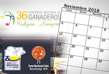 El 36° Congreso Nacional de Ganaderos y el Congreso Mundial Brahman se llevarán a cabo a finales de noviembre. Foto: fedegan.org.co - asocebu.com - michelzbinden.com 36 Congreso Nacional de Ganaderos, Ganadería, congreso nacional ganadero, congreso nacional ganadero fedegán, fedegan, fedegán colombia, congreso ganadero 2018, Eventos ganaderos noviembre 2018, cursos ganaderos, eventos ganaderos de 2018, ferias ganaderas de 2018, Ferias ganaderas Colombia octubre 2018, ferias ganaderas Colombia 2018, ferias ganaderas octubre 2018, ferias, Ferias Ganaderas, ferias Colombia, Eventos ganaderos, eventos ganaderos colombia, CONtexto ganadero, ganaderos colombia, ganadería colo
