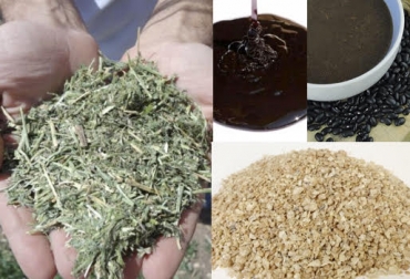 “Producir la mezcla y almacenarla para suministrarla a los animales durante la sequía que traerá el Fenómeno de El Niño”, dijo Iván Darío Cruz. Foto: soluagrosa.com - Nutrica - TiendaNatural - cosechaypostcosecha.org Dieta nutritiva, pasto, melaza, harina de frijol, torta de soya, fenómeno de El Niño, escasez de comida, aporte nutritivo al bovino, CONtexto Ganadero, noticias de ganadería colombiana.