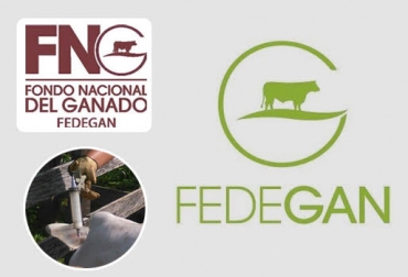 “Fedegán debe tomar el manejo tanto de la parafiscalidad, como de la vacunación en Colombia para recuperar el estatus sanitario”, dijo Juan Carlos Romero. Foto: contextoganadero.com - fedegan.org.co Vacunación contra aftosa vuelva a Fedegán, manejo del FNG, programas exitosos, estatus sanitario, esfuerzos de Fedegán, instituciones, asistencia técnica, transferencia de tecnología, servicio a ganaderos, mejorar rentabilidad, CONtexto Ganadero, noticias de ganadería colombiana.
