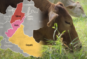 La Mesa Regional de Ganadería de Tolima y Huila será lanzada a finales de octubre, gracias a la iniciativa de Asopastoril. Foto: Ganadería Productiva y Más Limpia - CONtexto ganadero Mesa Ganadería Sostenible Tolima, mesa ganadería sostenible Tolima noticias, Mesa Nacional de Ganadería Sostenible, Mesa Nacional de Ganadería Sostenible noticias, Mesa Nacional de Ganadería Sostenible Colombia, Mesa Regional de Ganadería Sostenible, ganadería colombiana sostenible fedegán, Asopastoril Colombia, asociación sistemas silvopastoriles Colombia, sistemas silvopastoriles ganadería Colombia, CONtexto ganadero, ganaderos colombia, noticias ganaderas colombia contexto ganadero
