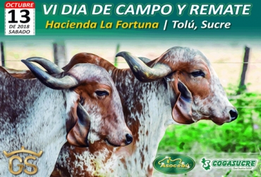 En la anterior versión del remate, llegaron cerca de 400 ganaderos a la Hacienda La Fortuna en Tolú, Sucre. Foto: Cortesía VI Día de campo y Remate Hacienda La Fortuna octubre 2018, remate La Fortuna 2018, Hacienda La Fortuna 2018, Cebú Lechero, remate de cebú, Cogasucre, Asocebú, ganado cebú doble propósito, ganado cebú lechero, remate ganado Sucre, remate ganado Colombia, remate hacienda la fortuna, CONtexto ganadero, ganaderos colombia, noticias ganaderas colombia