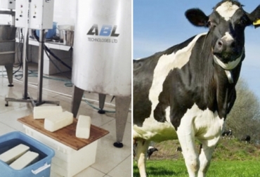 La empresa Iscol Agritech se dedica, entre otras, a la producción de leche con Holstein que aspira a transformar gracias a los equipos de la firma israelí ABL. Foto: abl-tech.com - Agronomaster Finca La Melodía, La Melodía Puerto Boyacá, Iscol Agritech, producción de leche Iscol Agritech, Israel Colombia lechería, empresa Israel maquinaria láctea, producción de leche Colombia, empresa Israel Colombia, ABL Tech, ABL technologies, presencia de ABL en Colombia, representante en Colombia de ABL Tech Israel, transformación de leche, ABL Tech Colombia, CONtexto ganadero, ganaderos colombia, noticias ganaderas colombia