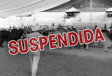 “Ganaderos prefirieron suspender la feria del Socorro y proteger la sanidad del departamento de Santander”, dijo Carlos Andrés Pinilla. Foto: vanguardia.com - contextoganadero.com Suspenden feria del Socorro, temor por aftosa, proteger la sanidad de Santander, región de paso, afecta a ganaderos, feria tradicional, feria más antigua de Colombia, CONtexto Ganadero, noticias de ganadería colombiana.