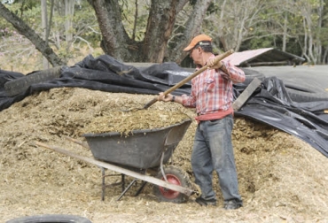 “Decidimos trabajar en el manejo de ensilaje y así guardar comida para las épocas difíciles”, dijo Luis María Roullé. Foto: Corpoica Variaciones del clima, escases de comida, producción de silos, concentrado de alta vitamina, comida de gran proteína, fuertes veranos, intenso inviernos, pérdida de peso animal, CONtexto ganadero, noticias de ganadería colombiana.
