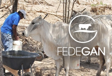 “Lo más prudente es que el Gobierno designe a Fedegán nuevamente la expedición de guías de movilización”, dijo José Domingo Cuello. Foto: El Heraldo - fedegan.org.co Fedegán administre vacunación, manejo de trazabilidad, administración de guías de movilización, ICA, levantan puntos de control, identifica, falencias de trazabilidad, ICA sin recursos, CONtexto Ganadero, noticias de ganadería colombiana.