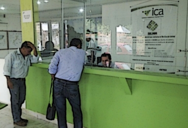 Los productores de esta región de Bolívar reclaman un servicio más expedito y eficiente, porque la movilización de animales requiere de bastante premura. Foto: ica.gov.co Guías Ica Montería Arauca Neiva, Oficina ICA guías, oficina ICA ganaderos, Instituto Colombiano Agropecuario, ICA, Guías de Movilización, ICA no expide guías movilización, ganaderos afectados por el ICA, movilización de ganados en Colombia, problemas del ICA en regiones de Colombia, Falta de personal y comunicación del ICA, CONtexto ganadero, ganaderos colombia