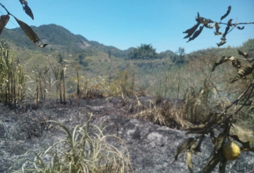 El momento crítico de El Niño sería después del primer trimestre de 2019. Foto: Gobernación de Caldas. ganadería, ganadería colombia, noticias ganaderas, noticias ganaderas colombia, contexto ganadero, el niño, fenómeno de el niño, ideam, ideam colombia, fenómeno de el niño 2019, caldas, gobernación de caldas, verano caldas, Jefatura de Gestión del Riesgo, Félix Ricardo Giraldo, Secretaría de Agricultura de Caldas,
