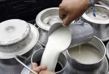 “Cogansonorte compra la leche a los productores a $900 el litro, precio que mantiene estable durante todo el año”, dijo Eduardo Rico. Foto: La Opinión Ampliación de acopio, Cogansonorte, apoyo de Gobernación, aumento de producción, Norte de Santander, Toledo, Labateca, Chinacota, Herrán, Fondo Rotatorio, estabilidad de precio, CONtexto Ganadero, noticias de ganadería colombiana.