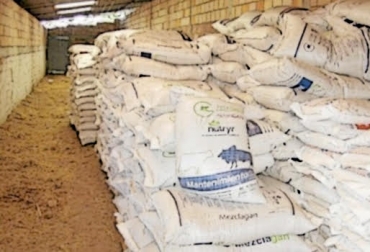 “Se augura que el verano se extenderá hasta abril y es un periodo en el que no hay comida que alcance”, dijo Luz Diola Jaramillo. Foto: Fedegan Reactivar bodegas de suplementos alimenticios, Puerto Salgar, veranos fuertes, régimen de lluvias insuficiente, región netamente ganadera, reservas de comida, apoyo del gobierno, CONtexto ganadero, noticias de ganadería colombiana.