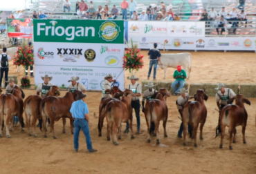 Tras el éxito de Expomalocas, el Meta se prepara para la versión número 72 de la Feria Nacional Cebú. Foto: Asocebú. Ganadería, ganadería colombia, noticias ganaderas, noticias ganaderas colombia, CONtexto ganadero, Feria Nacional Cebú, feria cebú, Exposición Nacional Cebú, Feria Nacional Cebú 2019, nacional cebú villavicencio, feria nacional cebú villavicencio, Comité de Ganaderos del Meta, Asocebú, Asocebú colombia, Eventos ganaderos, Ferias Ganaderas