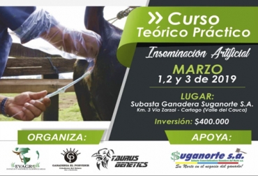 El curso teórico práctico de inseminación artificial de Evagro se llevará a cabo en las instalaciones de Suganorte, en el km 3 de la vía Zarzal-Cartago. Foto: Evagro Curso inseminación artificial en bovinos Evagro, Curso inseminación artificial en bovinos Evagro Taurus Genetics 2019, Curso inseminación artificial en bovinos Evagro marzo 2019, curso inseminación artificial 2019, aprender sobre inseminación artificial en bovinos, Evagro Colombia, Evagro Agropecuarias, curso inseminación Evagro, venta ganado, curso inseminación artificial Cartago Valle del Cauca, CONtexto ganadero, ganaderos colombia, noticias ganaderas colombia