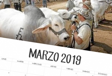 El evento pecuario más importante tendrá lugar en Medellín, con exposiciones bovinas nacionales de razas como Simmental, Jersey y Beefmaster.Foto: Vanguardia Liberal - Pinterest Eventos ganaderos marzo 2019, cursos ganaderos, eventos ganaderos de 2019, ferias ganaderas de 2018, Ferias ganaderas Colombia marzo 2019, ferias ganaderas Colombia 2019, ferias ganaderas marzo 2019, ferias, Ferias Ganaderas, ferias Colombia, Eventos ganaderos, eventos ganaderos colombia, feria ganadera marzo 2019, CONtexto ganadero, ganaderos colombia, ganadería colombia, noticias ganaderas colombia