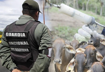 “La guardia de Venezuela decomisó las neveras en donde portaban las vacunas, junto con las jeringas y otros equipos”, dijo Ever Carrillo. Foto: El Heraldo - Fedegán - elsolweb.tv Retienen vacunadores, Guardia de Venezuela, campaña contra la fiebre aftosa, retención en contra de su voluntad, decomiso de neveras y biológicos, vacunadores maltratados y amenazados, denuncias, CONtexto ganadero, noticias de ganadería colombiana.