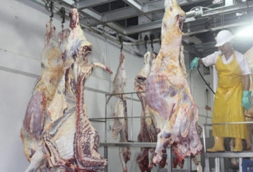 “Frigorífico Ecotunja atenderá la demanda de 300 reses diarias que consume la población de Tunja”, dijo Armando Contreras. Foto: frigocer-expocolsas.com.co Tunja tendrá planta de sacrificio bovino, sacrificio de bovinos y de porcinos, iniciará obras a mediados de marzo, planta de carácter nacional, sacrificio y procesamiento de carne, inversionistas privados, Frigorífico Ecotunja, demanda de Llanos Orientales y santanderes, demanda de municipios de Cundinamarca, CONtexto ganadero, noticias de ganadería colombiana.