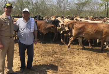 “Se entregaron 300 vacas genéticamente desarrolladas y preñadas”, dijo Miguel Torres Badin. Foto: cortesia Repoblamiento bovino de Gobernación de Bolívar, entrega de vacas preñadas. Entrega de reses a seis municipios de Bolívar, capacitación en emprendimiento, capacitación en sistemas silvopastoriles, familias campesinas, CONtexto ganadero, noticias de ganadería colombiana.
