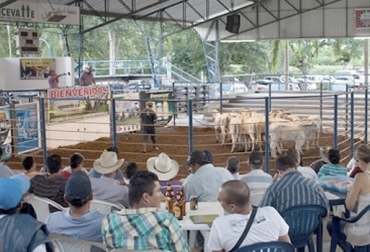 “Esquema de subasta requiere que la ganadería someta a comercialización mínimo 10 animales de su hato”, dijo Víctor Manuel Fajardo. Foto: suganorte.com Esquema de subasta en Boyacá, cambio de cultura en comercialización, esquema de subasta no se usa en Boyacá, negocios en fincas, comercialización en plazas, Frigorífico Ecotunja, proyecto de construcción de subasta en Tunja, comercialización y sacrificio, negocio exitoso, cercanía de Bogotá, Bogotá mercado de mayor poder adquisitivo, CONtexto ganadero, noticias de ganadería colombiana.