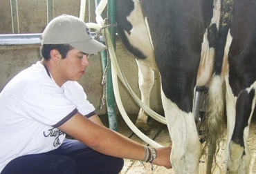 Ocho plantas eléctricas, una marmita y dos tanques de acopio de leche recibieron los cerca de 1.000 productores. Foto: Sena. ganadería, ganadería colombia, noticias ganaderas, noticias ganaderas colombia, contexto ganadero, leche, lecheros nariño, lechería nariño, ganadería nariño, Sapuyes, Guachucal, Cumbal y Cuaspud – Carlosama, secretaría de agricultura y desarrollo rural de nariño, danita andrade díaz, secretaria de agricultura de nariño, queseros nariño,
