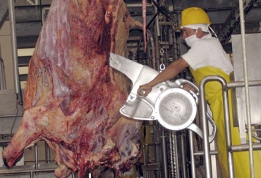 A la fecha, hay otras 414 plantas de faneamiento animal que todavía están en proceso para cumplir con el decreto 1500. Foto: La Opinión Contexto ganadero decreto 1500, decreto 1500 2018, Decreto 1500 diciembre 2018, Decreto 1500 de 2007 Vigencia 2 años, decreto 1500 de 2007, estatus plantas de sacrificio 2018, plantas de sacrificio 2018, vigencia 2 años decreto 1500 plantas de beneficio, demoras decreto 1500, estado plantas de sacrificio del país, Invima, panorama plantas de sacrificio, CONtexto ganadero, ganaderos colombia, noticias ganaderas colombia