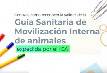 A través del siguiente video, los productores pueden validar la información de una guía. Foto: Captura de video. Ganadería, ganadería colombia, noticias ganaderas, noticias ganaderas colombia, CONtexto ganadero, Guías de Movilización, expedición de guías de movilización en línea, guías en línea, ICA, ica colombia, guías ica, trámites en línea, Ministerio de Agricultura,