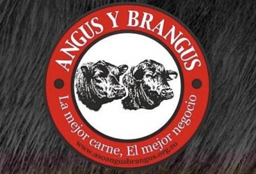El zootecnista dirige la Asociación Angus & Brangus de Colombia desde el 1° de marzo. Foto: Asoangusbrangus Asociación Angus Brangus 2019, Asociación Angus & Brangus de Colombia, Mauricio León Gómez, Actividades Angus Brangus 2019, eventos Asociación Angus Brangus 2019, Día de Campus Asociación Angus & Brangus, día de campo Aso Angus Brangus, Comprar Brangus en Colombia, día de campo Angus, día de campo brangus, noticias Angus Colombia, noticias Brangus Colombia, información Brangus Colombia, Asociación Angus & Brangus, CONtexto ganadero, ganaderos colombia, noticias ganaderas colombia