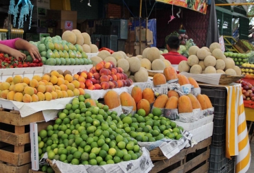 El trabajo que se viene haciendo la plaza está facilitando la venta de los productos agrícolas. Foto: Cenabastos. Ganadería, ganadería colombia, noticias ganaderas, noticias ganaderas colombia, CONtexto ganadero, cenabastos, plazas de mercado, plaza de mercado de cúcuta, plazas de mercado de norte de santander, norte de santander, gobernación de norte de santander, william villamizar laguado,
